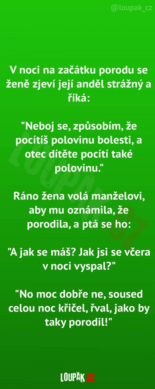 Bolest si rozdělili na poloviny