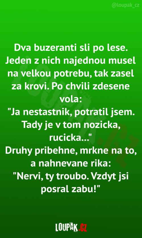  Dva buzeranti sli po lese 