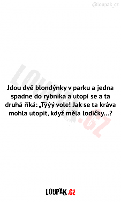  Dvě blondýnky v parku 