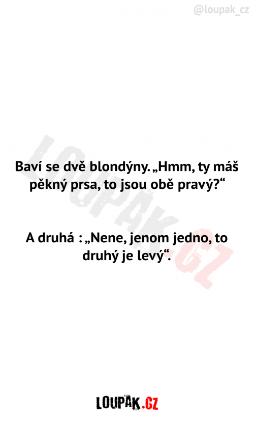  Baví se dvě blondýnky 