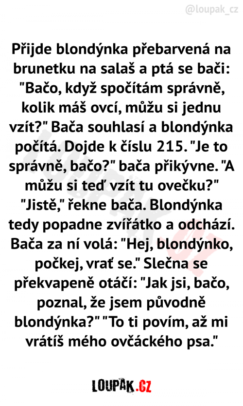  Přijde blondýnka přebarvená na brunetku 