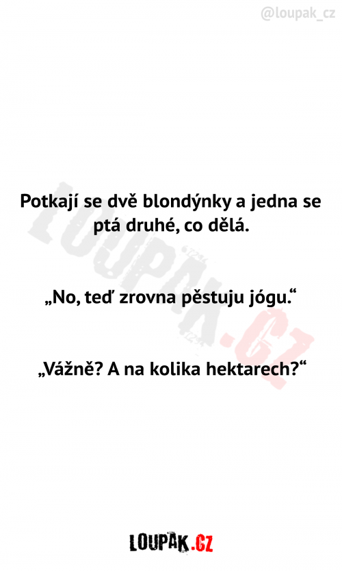  Potkají se dvě blondýnky 