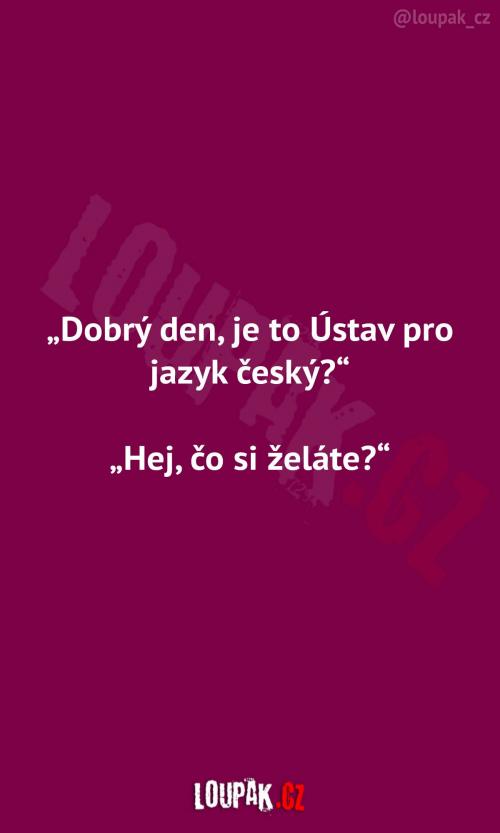  Ústav pro jazyk český 