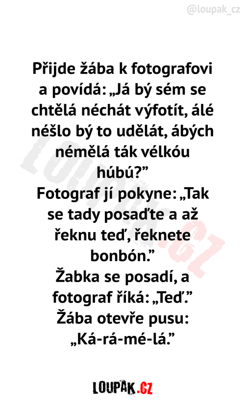  Přijde žába k fotografovi 