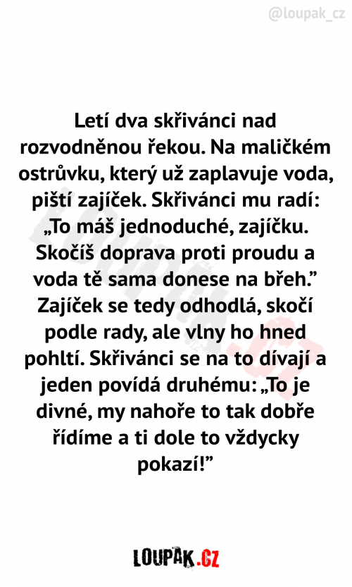  Letí dva skřivánci na rozvodněnou řekou 