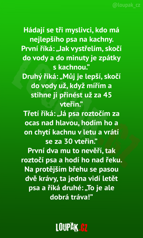  Hádají se tři myslivci kdo má lepšího 