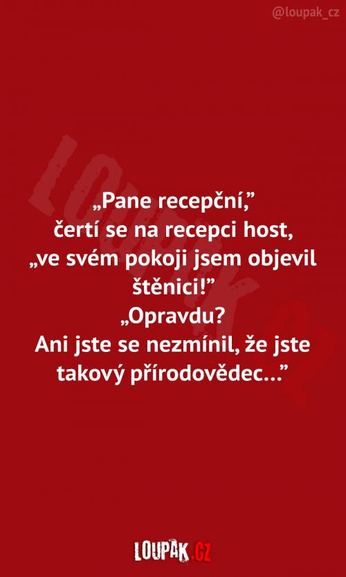 Štěnice v hotelovém pokoji 