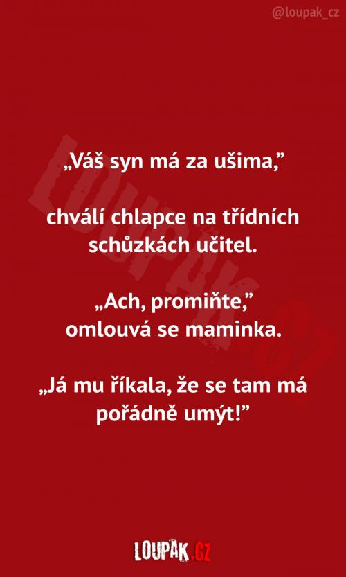  Syn má za ušima...   