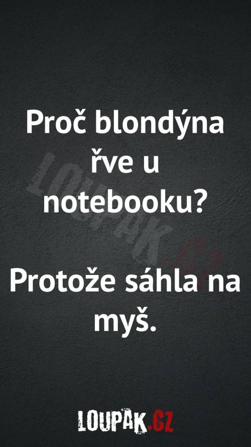  Proč blondýna řve u notebooku 