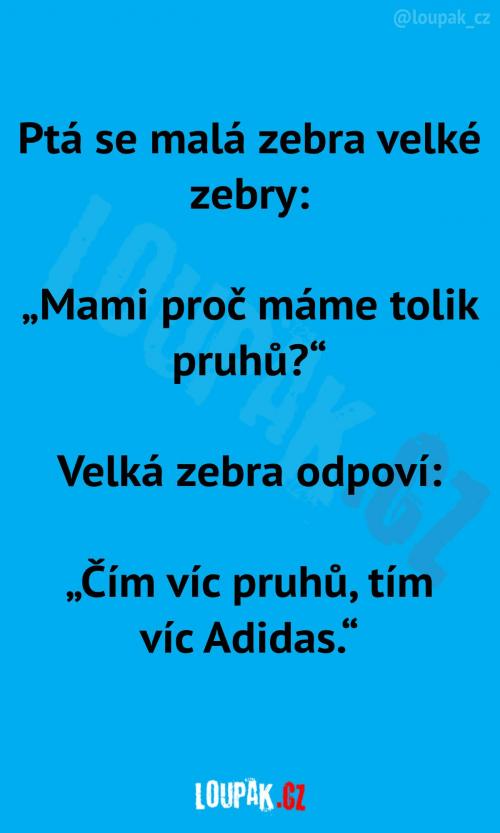  Zebry a jejich pruhy... 