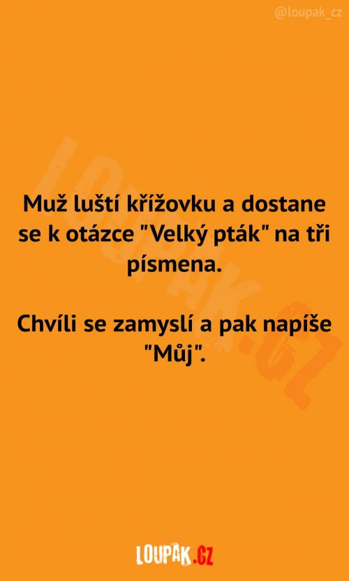  Velký pták na tři písmena 