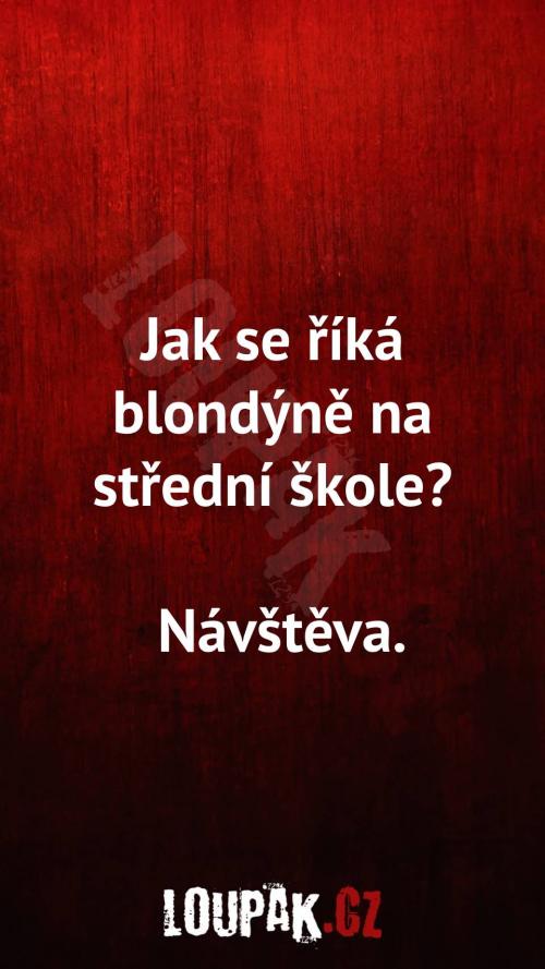 Jak se říká blondýně na střední škole