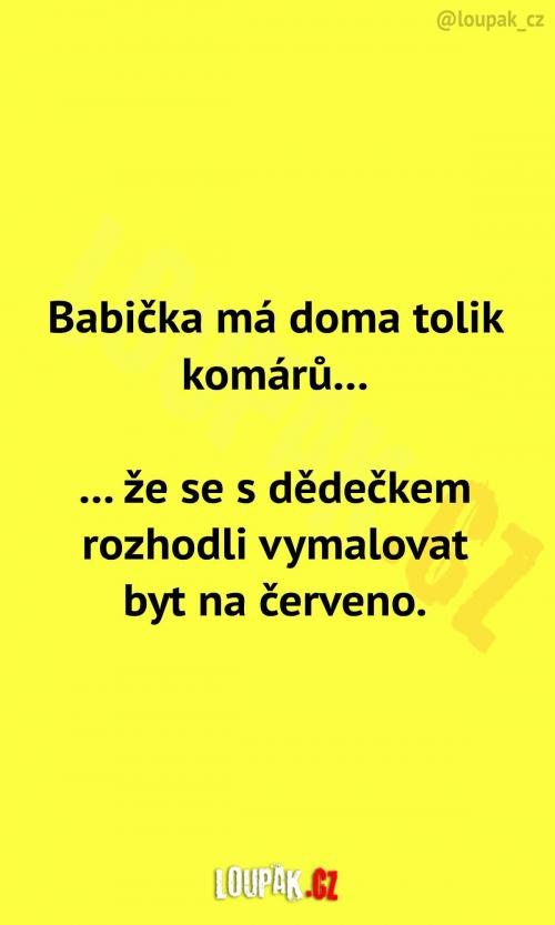Prarodiče mají doma až moc komářů