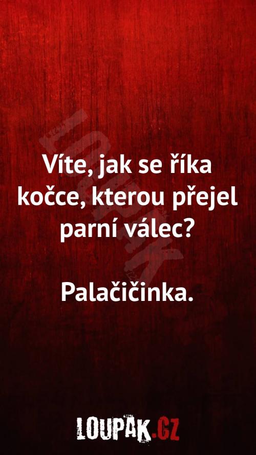  Jak se říká kočce, kterou přejel parní válec 