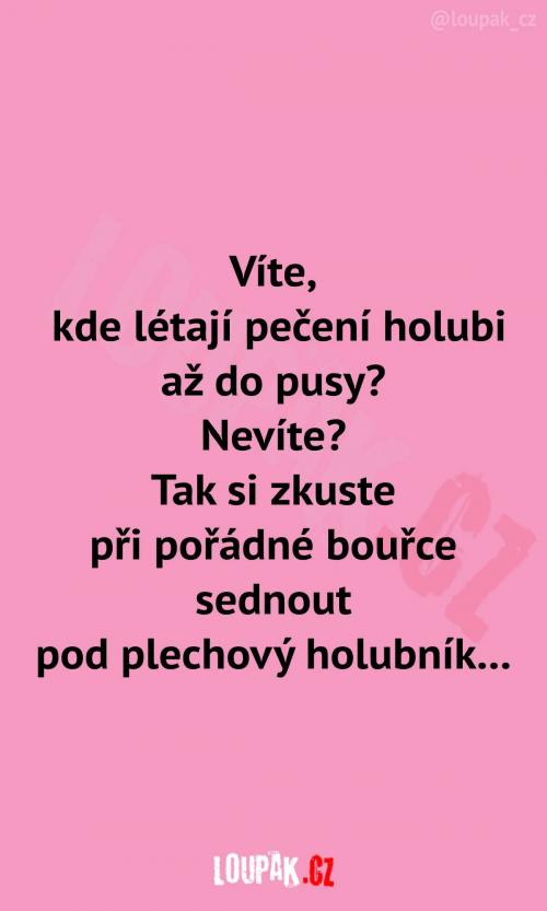 Trocha toho černého humoru musí být