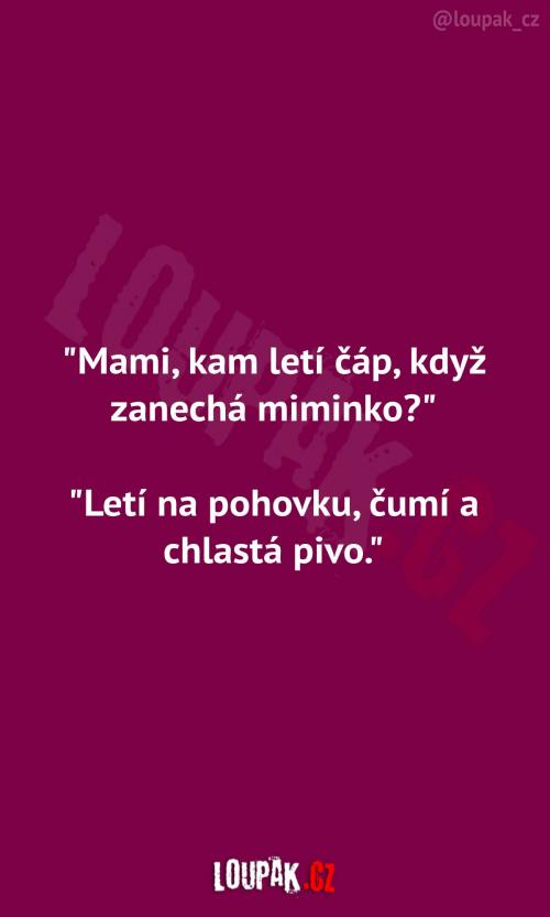  Čáp poté, co donese miminko 