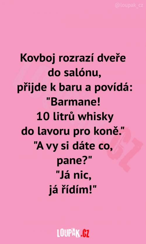 To přeci dává smysl, no ne?