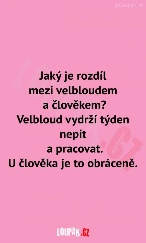  Od zvířat bychom se měli učit 