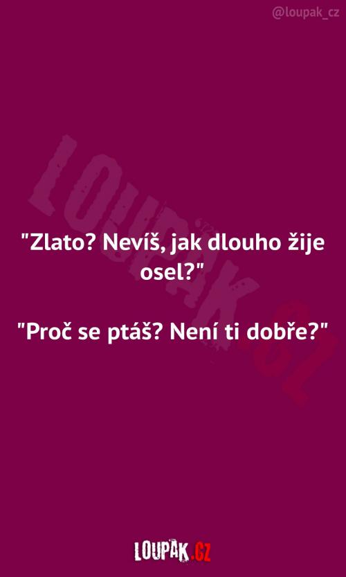  Jak dlouho žije osel 