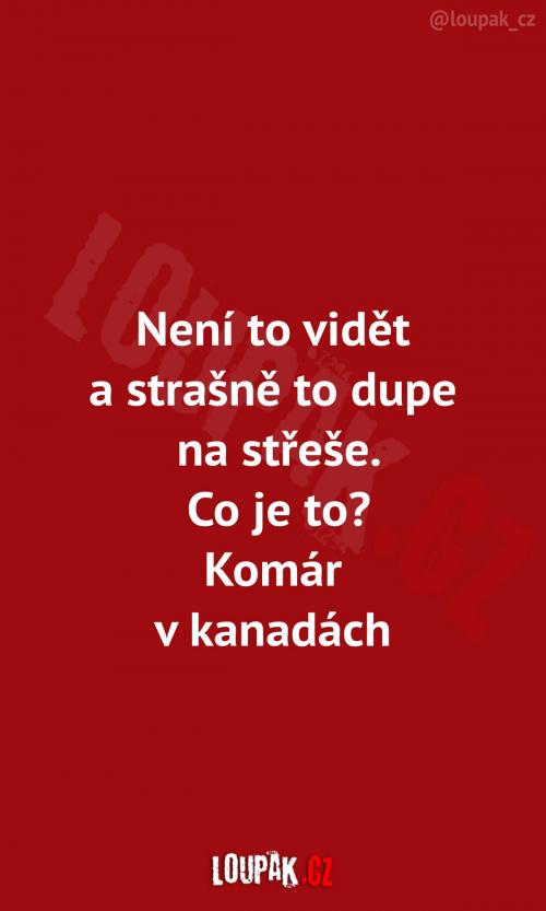 Věděli byste to? Já určitě ne