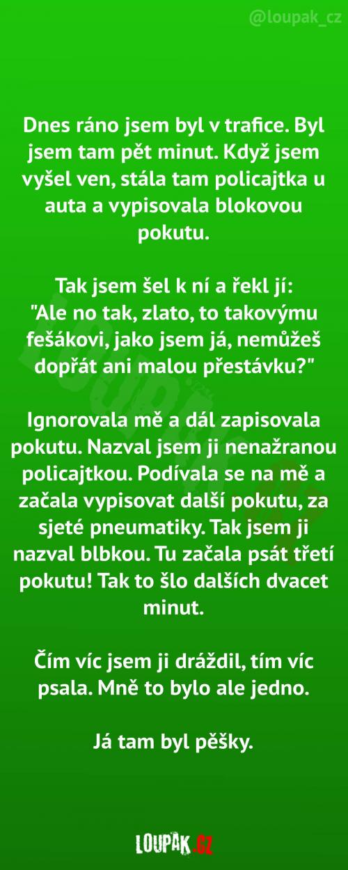 Trošku jsem někomu přisolil pokutu