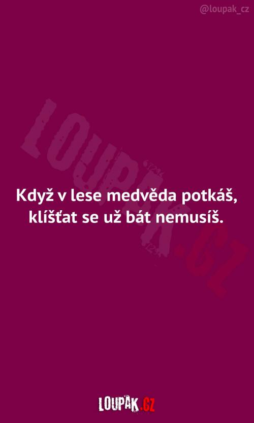  Když v lese medvěda potkáš... 