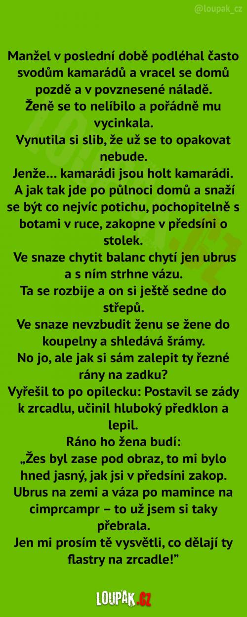 Povznesená náladička 