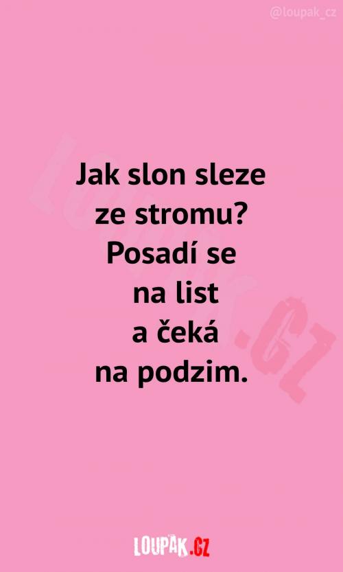  To přece dává 100% smysl! 