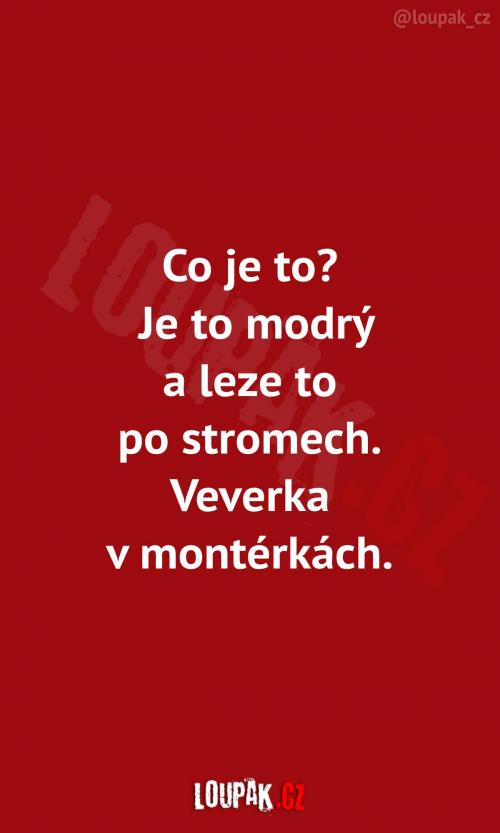  Má snad někdo z vás nějaký nápad? 