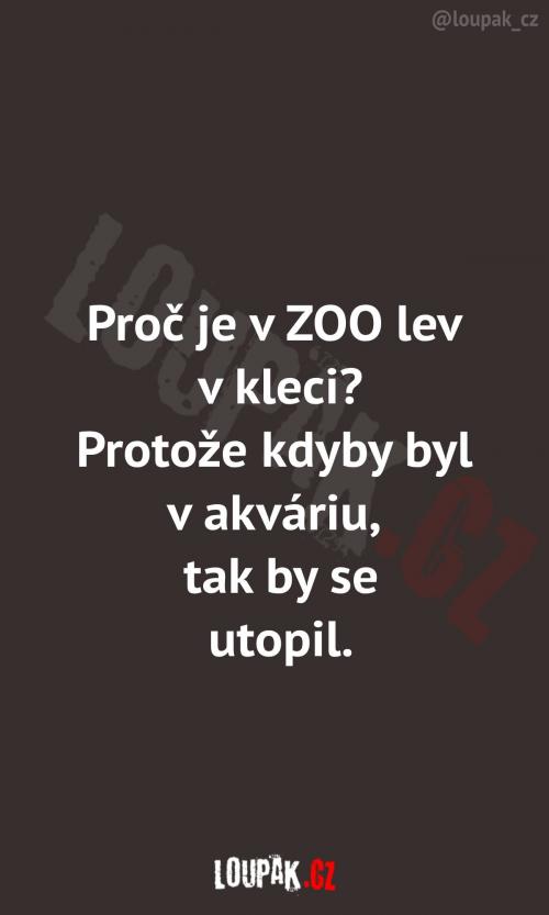  To vám přece dává smysl, ne? 