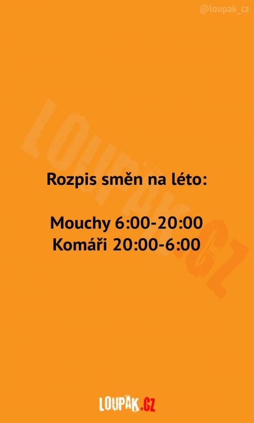  Rozpis  směn na léto 