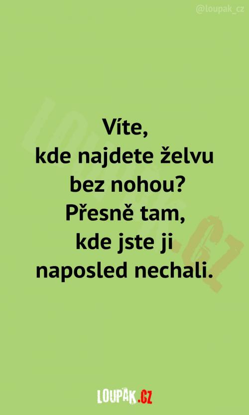  Proč byste hledali želvu bez nohou? 