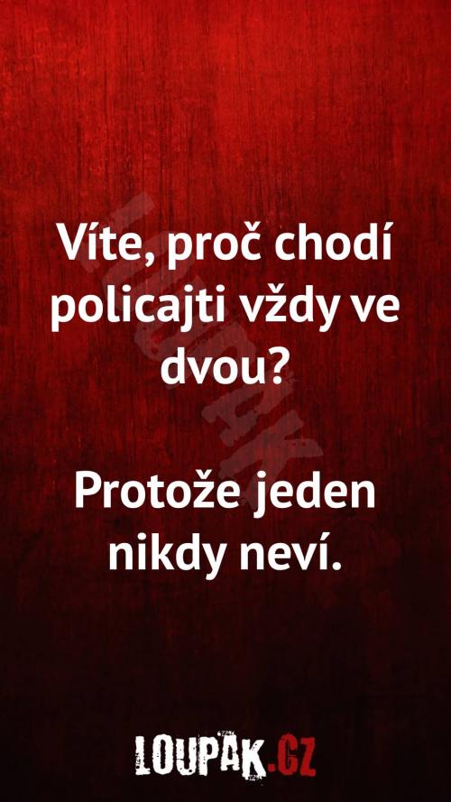  Proč chodí policajti vždy ve dvou 