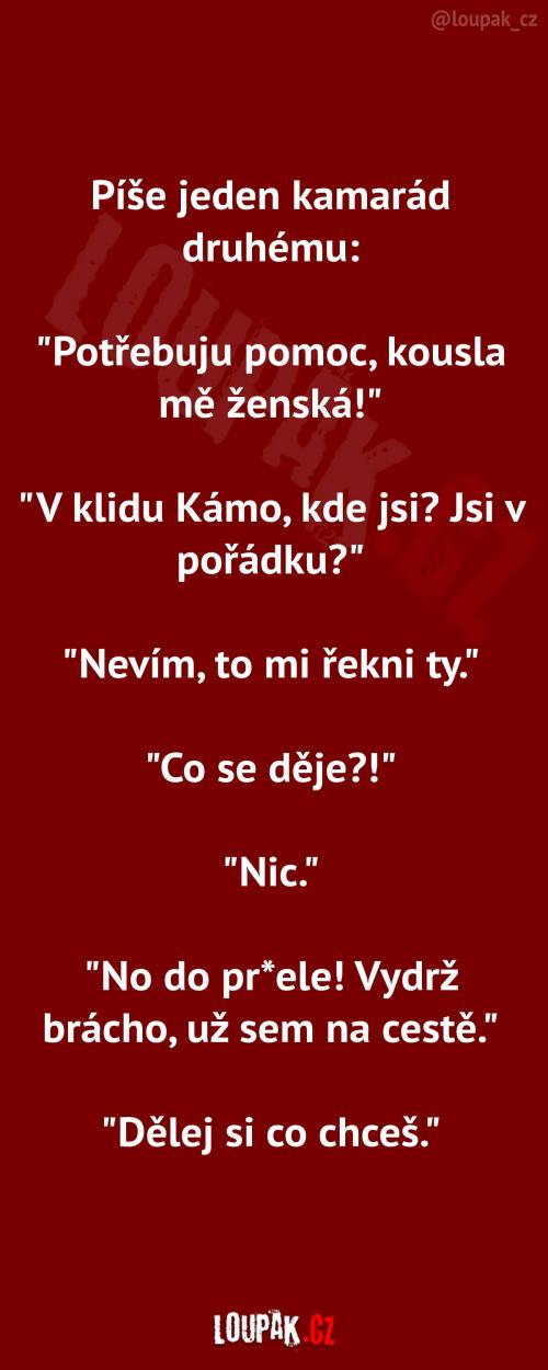  Pomoc při kousnutí ženskou 