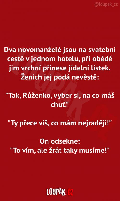  Novomanželé na svatební cestě  