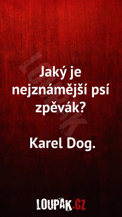  Jaký je nejznámější psí zpěvák 