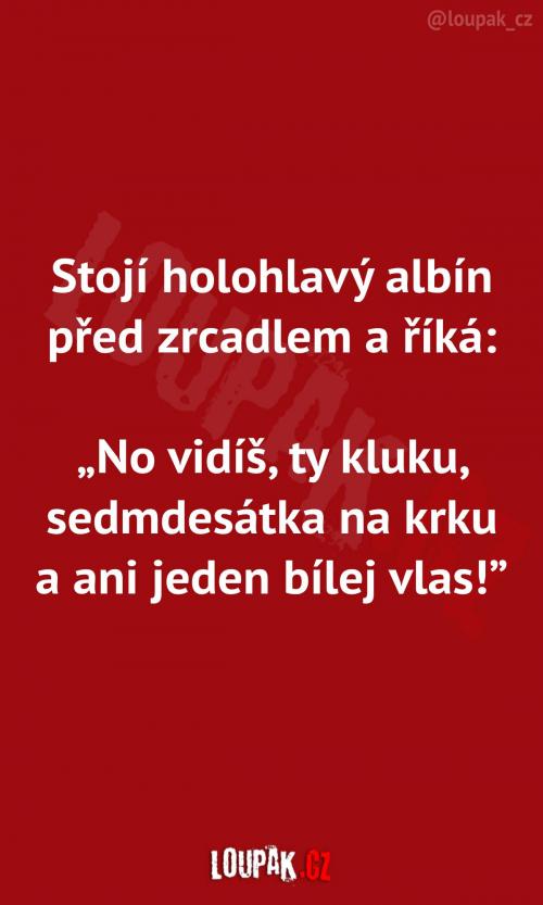 Holohlavý albín před zrcadlem