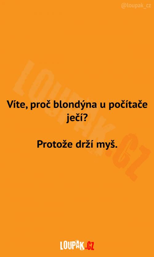 Blondýnky u počítače ječí