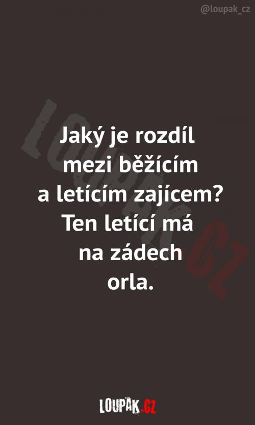  To docela chápu, jako jednu z mála věcí. 