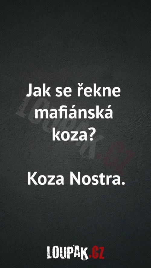  Jak se řekne mafiánská koza 