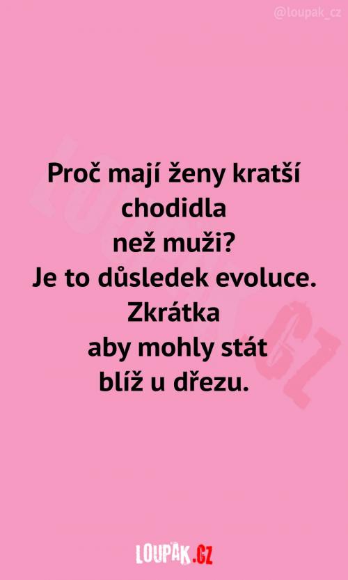  To jsou ale hloupé vtipy! 