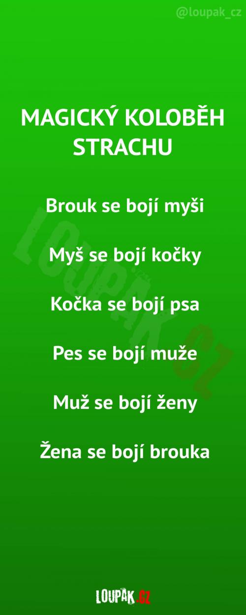 Magický koloběh strachu