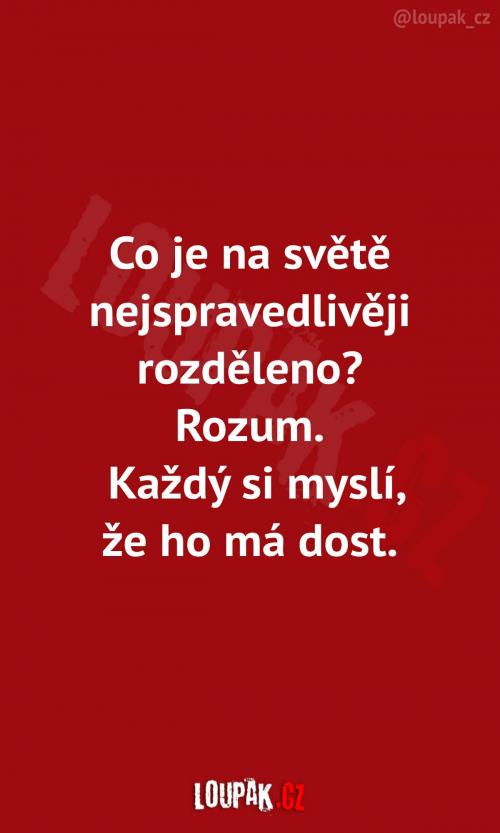  Proč by to měl být zrovna rozum? 