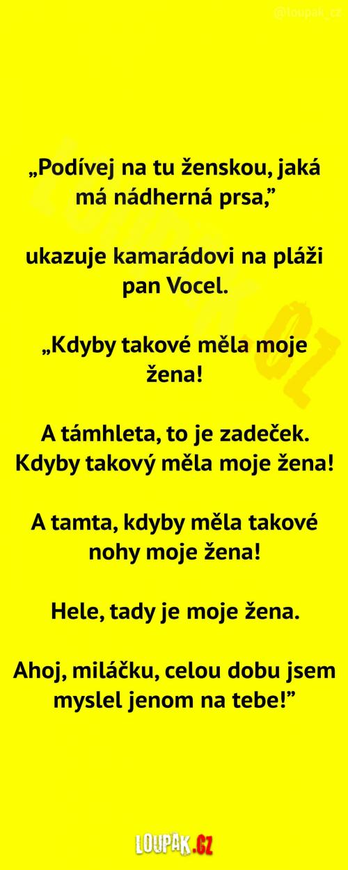  Pan Vocel na pláži   
