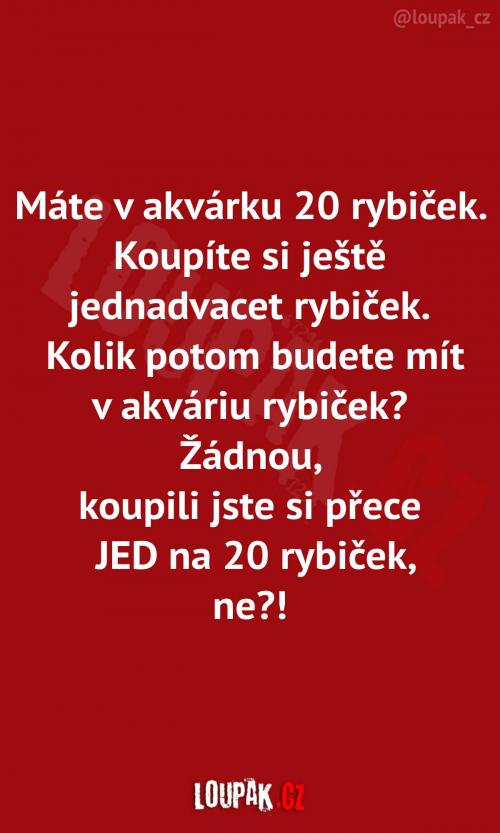 Na to byste nepřišli, co?