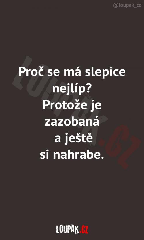  Ach, já bych chtěl být slepice 