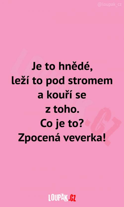 Na co jste proboha mysleli?