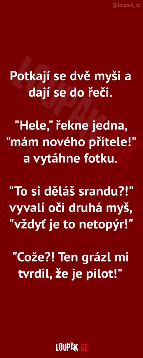  Myš si našla nového přítele 