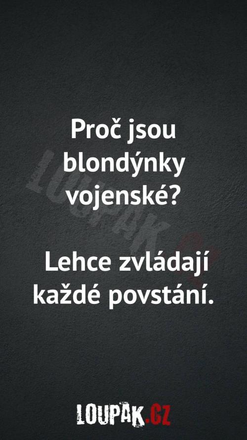  Proč jsou blondýnky vojenské 