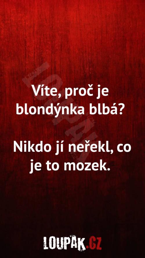  Proč blondýnka je blbá 